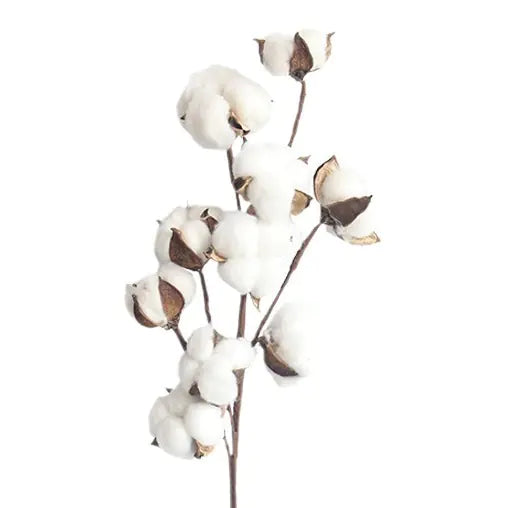 Flower Branch for Decor